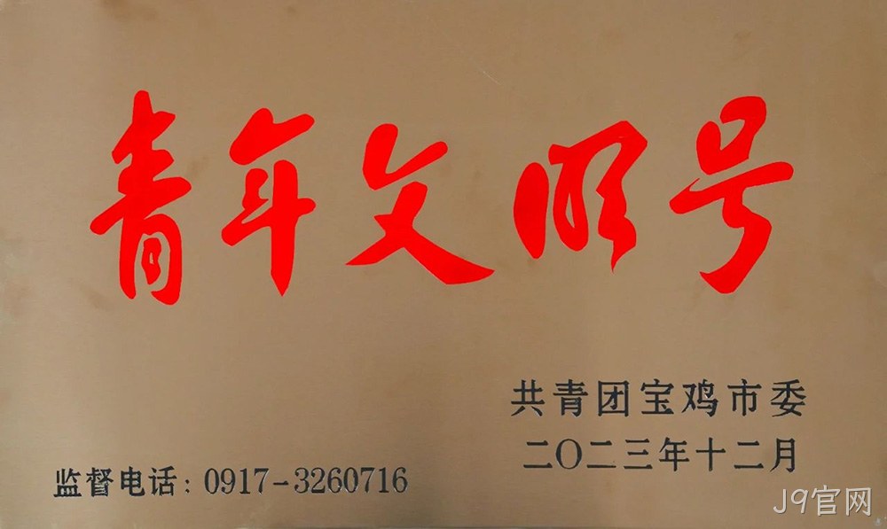 图片3