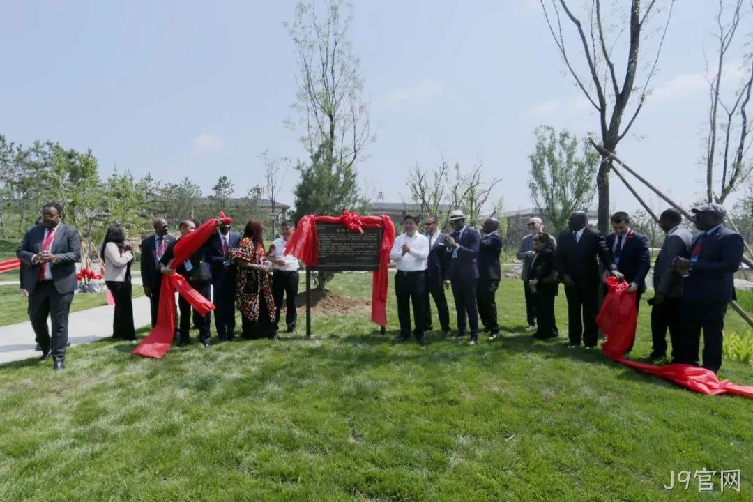 图片5
