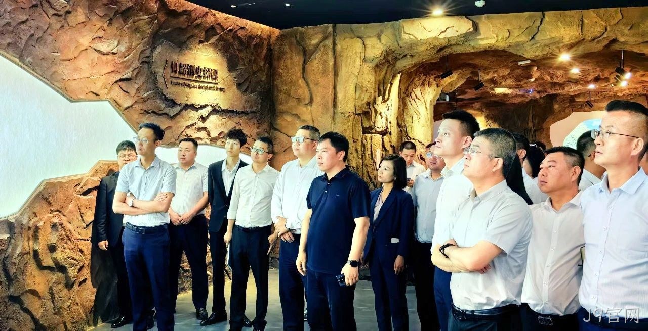 图片13 图片13
